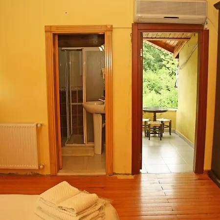 Hotel Ormanevi Otantik *