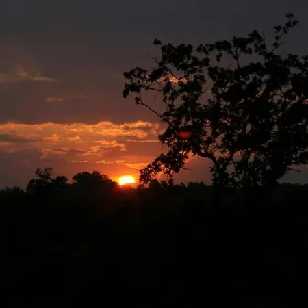 Hotel Ormanevi Otantik *