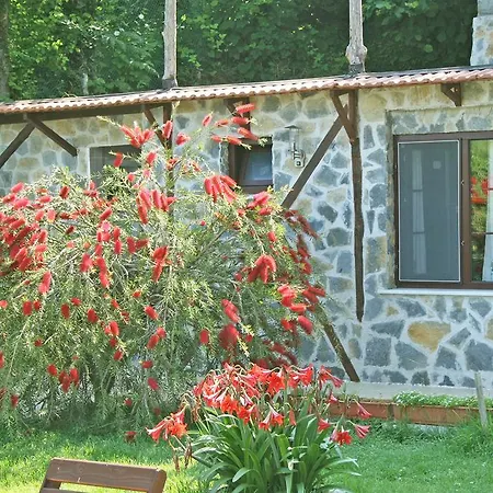 Hotel Ormanevi Otantik *